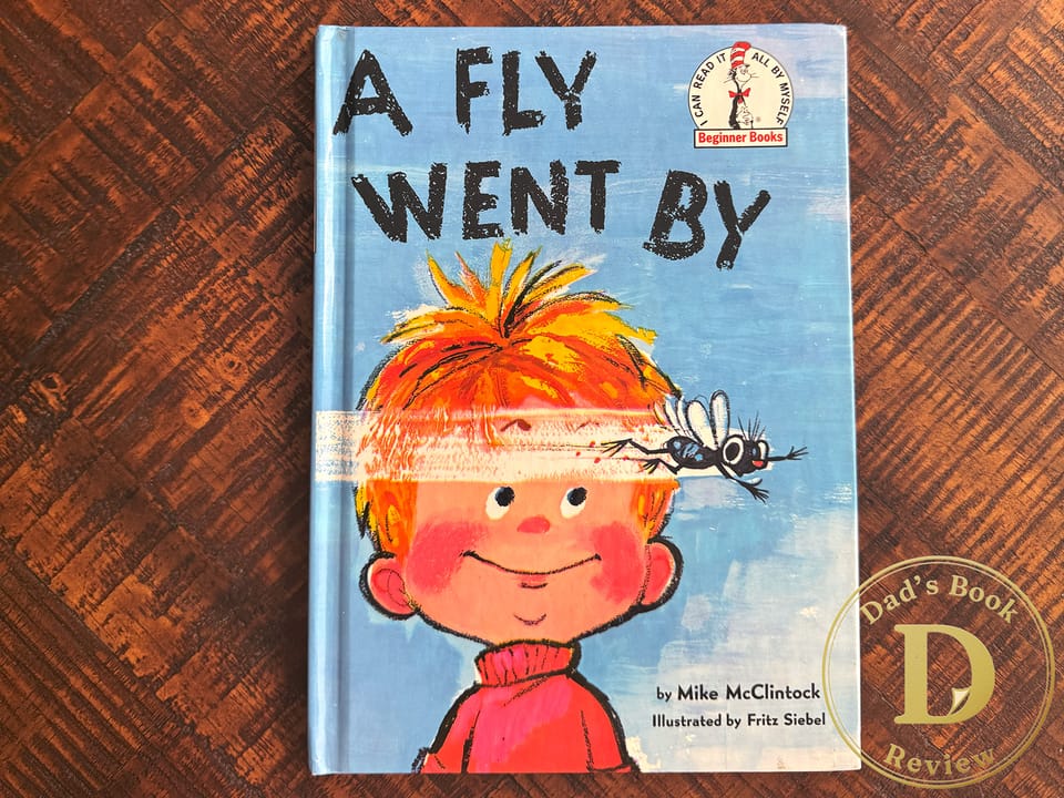 A Fly Went by cover